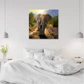 Leinwandbild, Elefant bei Sonnenuntergang 