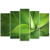 5-delige canvas print groene bladplanten 