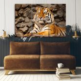 Leinwandbild 3-teilig, Afrika Tiger Tiere 