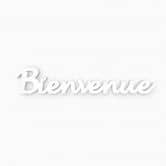 Decoratieletters Bienvenue 