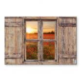 Spritzschutz 3D Holzfenster - Mohnblumen im Sonnenuntergang 