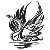 Wandtattoo Tribal 10 