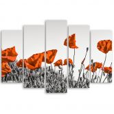 Leinwandbild 5 teilig, Roter Klatschmohn 