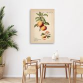 Leinwandbild, Vintage-Obst Pfirsich 