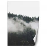 Fototapete, Wald im Nebel Bergen 