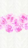 Fototapete in Rosenoptik auf Holz Rosa ,Floral 2,70 x 1,59 m 