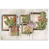 Leinwandbild 3 teilig, Quadratkisten Regale mit Blumen 