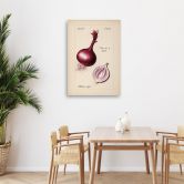 Leinwandbild Gemüse Weinlese Zwiebel 