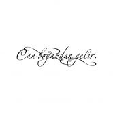 Wandtattoo Can bogazdan gelir 