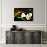 Canvasbillede, Kalien blomsterplanter 