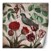 Fototapete, Shabby Chic Vogel Pflanzen Natur - Andrea Haase 