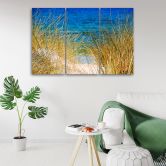 Leinwandbild 3-teilig, Gras Meer Strand 