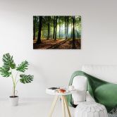 Leinwandbild, Wald bei Sonnenaufgang 