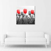 Canvas schilderij, Rode tulpen op een weide 