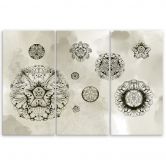 Leinwandbild 3 teilig, Florale geometrische Formen 