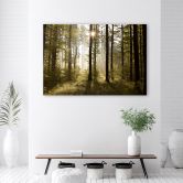Leinwandbild, Morgen im Wald 