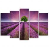 Leinwandbild 5 teilig, Lila Wiese Blumen 