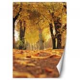 Fototapete, Goldener Polnischer Herbst 