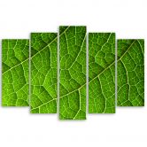 Leinwandbild 5 teilig, Grünes Laub Natur 