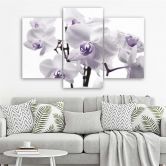 3-delige canvasprint, orchideebloesem paars 