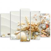 Wandbild 5-teilig, Muscheln Strand Sand Beige 