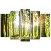 Leinwandbild 5 teilig, Wald Bäume Natur 