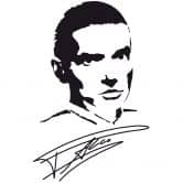 Sticker mural - Falco 