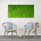 3-delige canvas print, groene bladeren natuur 