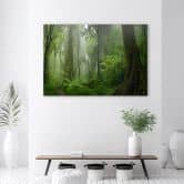 Canvasbillede, Tropisk jungle 