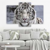 3-delige canvas print tijger wild dier zwart en wit 