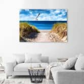 Leinwandbild, Weg zum Strand und eine Möwe 
