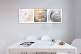 Leinwandbild, Rose Blumen mit Tropfen 