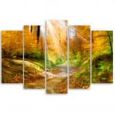 Leinwandbild 5 teilig, Wald Herbst Natur 