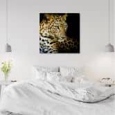 Canvasbillede, Majestætisk leopard 