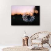Leinwandbild, Pusteblume und Sonnenuntergang 