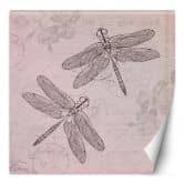 Fototapete, Shabby Chic Stil Libelle auf rosa Hintergrund - Andrea Haase 