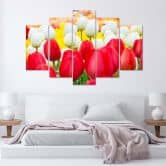 5-delige canvas print tulp rood wit 