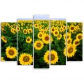 Lærredstryk 5 styk, Sunflowers Meadow 