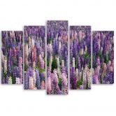 Leinwandbild 5 teilig, Lila Blumen Wiese Pflanzen 