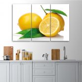 Leinwandbild 3-teilig, Zitronenfrucht 