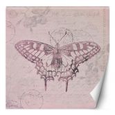 Fototapete, Shabby Chic Stil Schmetterling auf rosa Hintergrund - Andrea Haase 