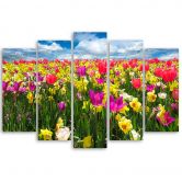 Leinwandbild 5 teilig, Bunte Tulpen Blumen  