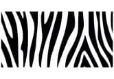 Fensterdekor Zebra 