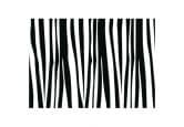 Muursticker Zebra Patroon 2 