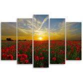 Leinwandbild 5 teilig, Feld Mohn Sonnenuntergang Landschaft 
