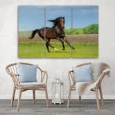 Leinwandbild 3-teilig, Pferdegalopp-Wiese 