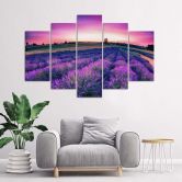 Leinwandbild 5 teilig, Lavendel Lila Feld 