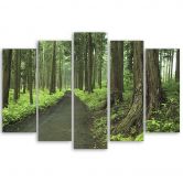 Leinwandbild 5 teilig, Wald Straße Bäume Natur 