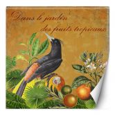 Fototapete, Exotische Tropische Vogel - Andrea Haase 