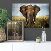 Acrylglas-Wandbild Ghizzi-Panizza - Begegnungen in der Savanne 